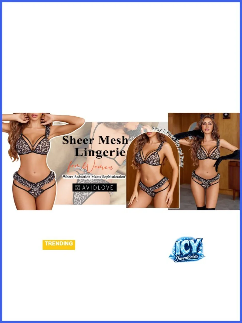 Sexy Mesh Lingerie Set, Triangle Bra with Ruffle Panty, Sheer 2 Piece